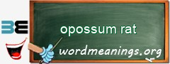 WordMeaning blackboard for opossum rat